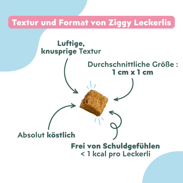 Texture et format des Friandises pour chat Ziggy saines, sans amidon et ultra gourmandes