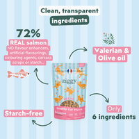 Feeding guide for Ziggy Salmon & Valerian Cat Treats – recommended daily portions