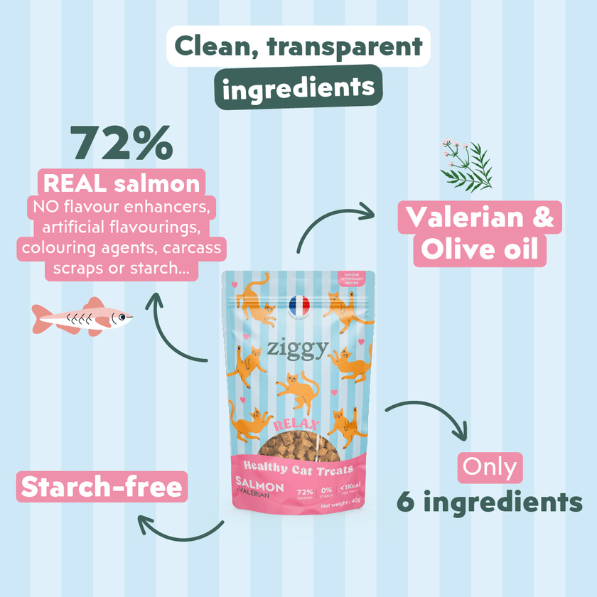 Feeding guide for Ziggy Salmon & Valerian Cat Treats – recommended daily portions