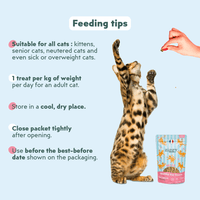 Ziggy Salmon & Valerian Cat Treats, 40g bag – calming treats for cats
