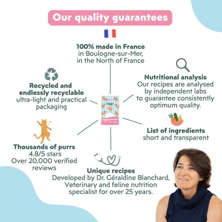 Key benefits of Ziggy Salmon & Valerian Cat Treats – calming treats features