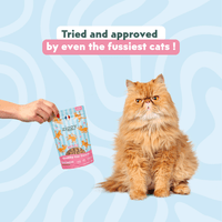 Cat enjoying Ziggy Salmon & Valerian Treats – calming treats for cats