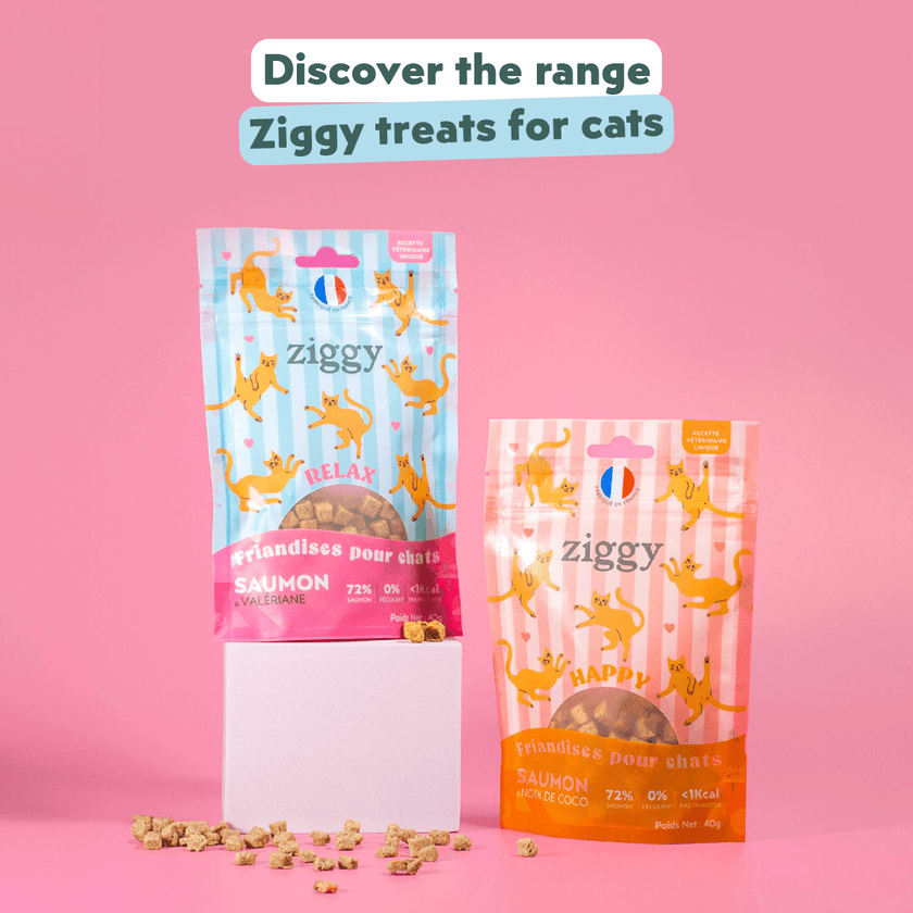 Hand holding Ziggy Salmon & Valerian Cat Treats, 40g – calming treats for cats