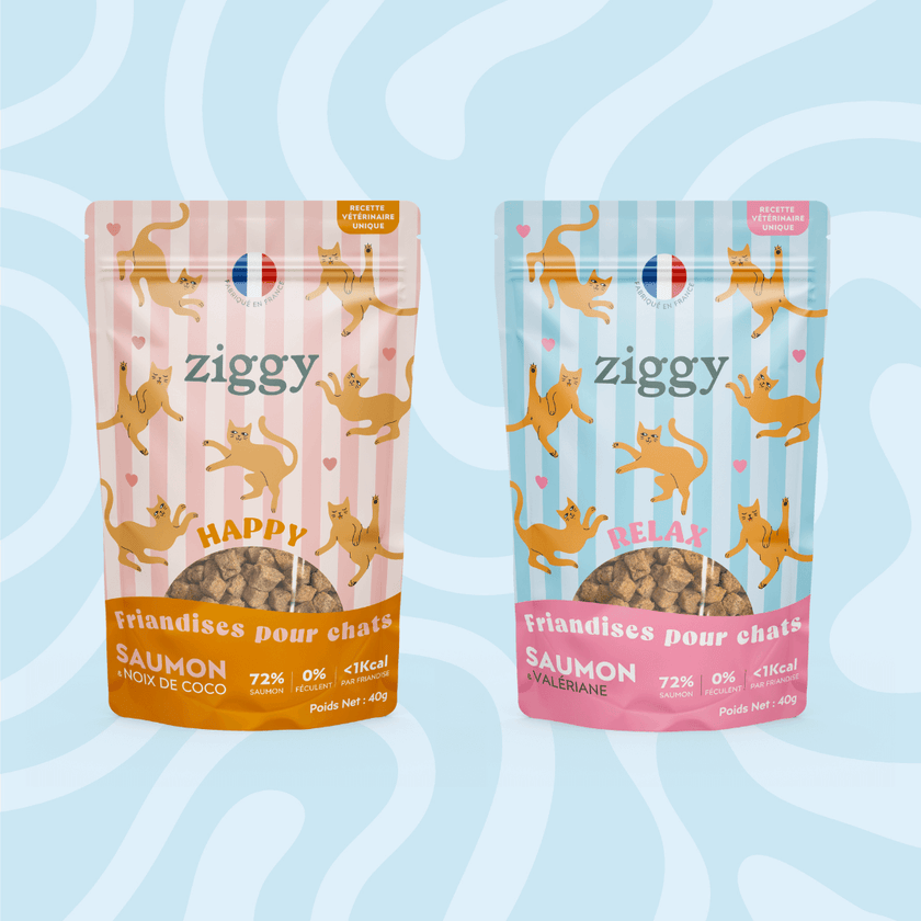 Friandises pour chat et chaton Ziggy