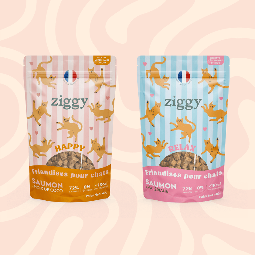 Friandises pour chat et chaton Ziggy