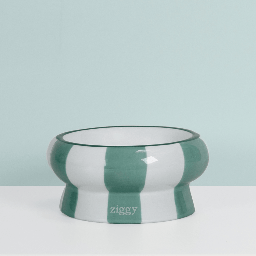 Ziggy cat food bowl in green and beige – feeding bowl for cats