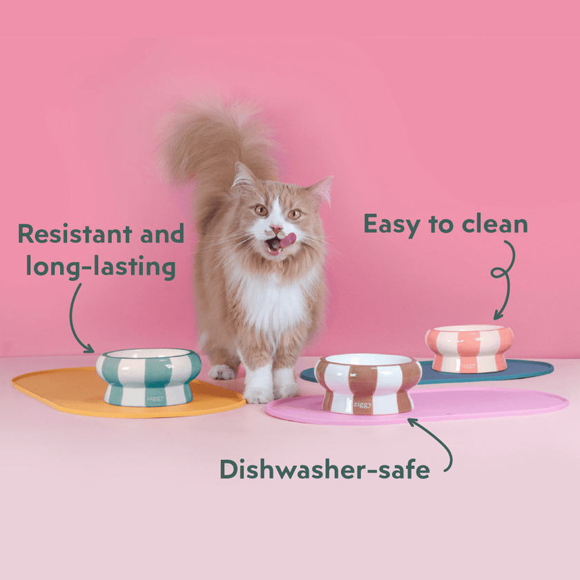 Ziggy cat food bowl available in multiple colors – feeding bowl for cats