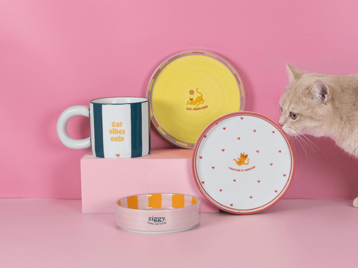 Gamme d'accessoires pour chat Ziggy Cat Vibes Only