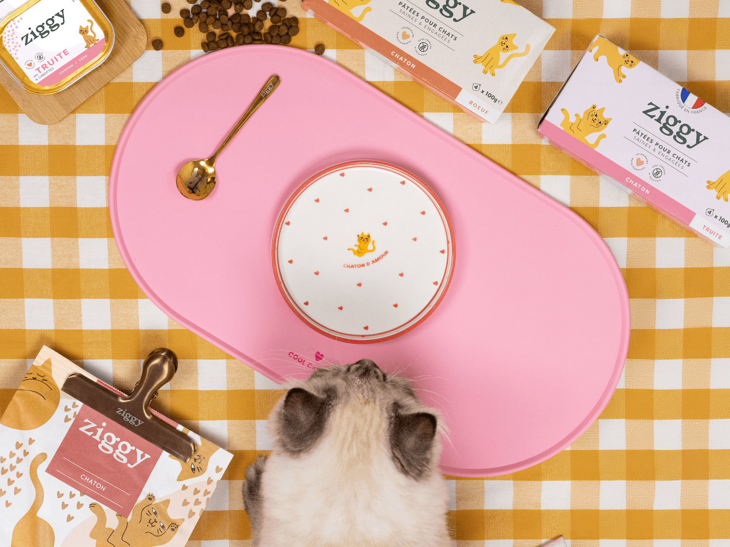 Assiette pour chaton Ziggy de la gamme Chaton d'Amour