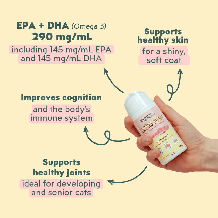 Ziggy Omega Oil for cats – omega-3 & 6 fatty acid composition (100mL)