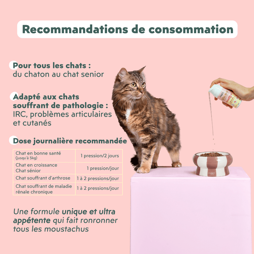 Recommandations de consommation de l'Huile de poisson et d'algues pour chat Oméga Boost de la marque Ziggy