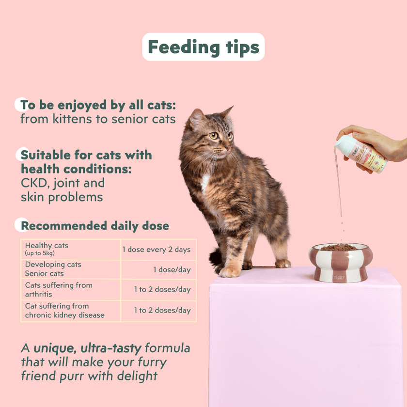 Dosage guide for Ziggy Omega Oil – skin and coat supplement for cats (100mL)