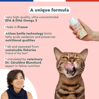 Cat benefiting from Ziggy Omega Oil – daily skin and coat support (100mL)