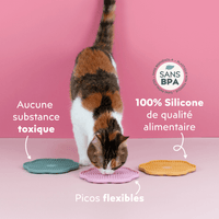 Ube, la plus jolie chatte du monde en train de manger de la pâtée pour chat adulte stérilisé Ziggy sur les tapis de léchage anti-glouton pour chat qui sont en silicone.