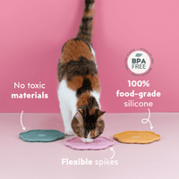 How to use the Ziggy Flower Lickmat – suction cup slow feeder for cats