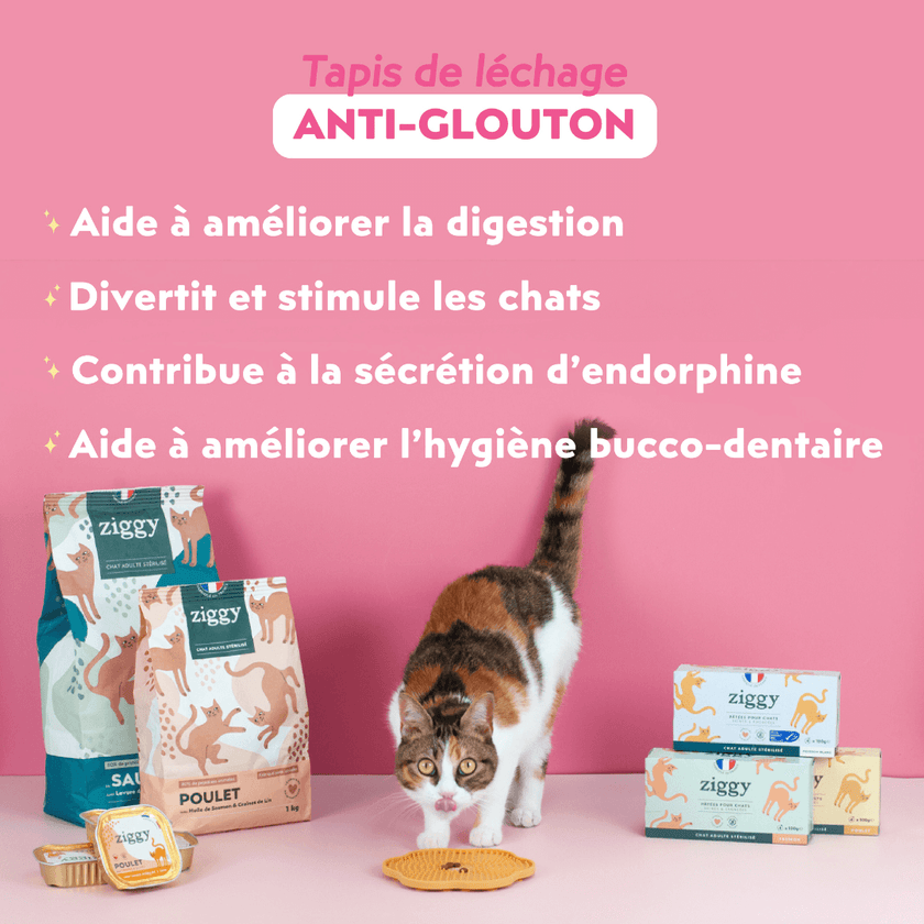 Chat adulte stérilisé très joli en train de manger de la pâtée pour chat adulte stérilisé Ziggy sur un tapis de léchage anti-glouton pour chat à côté des croquettes et pâtées pour chat Ziggy