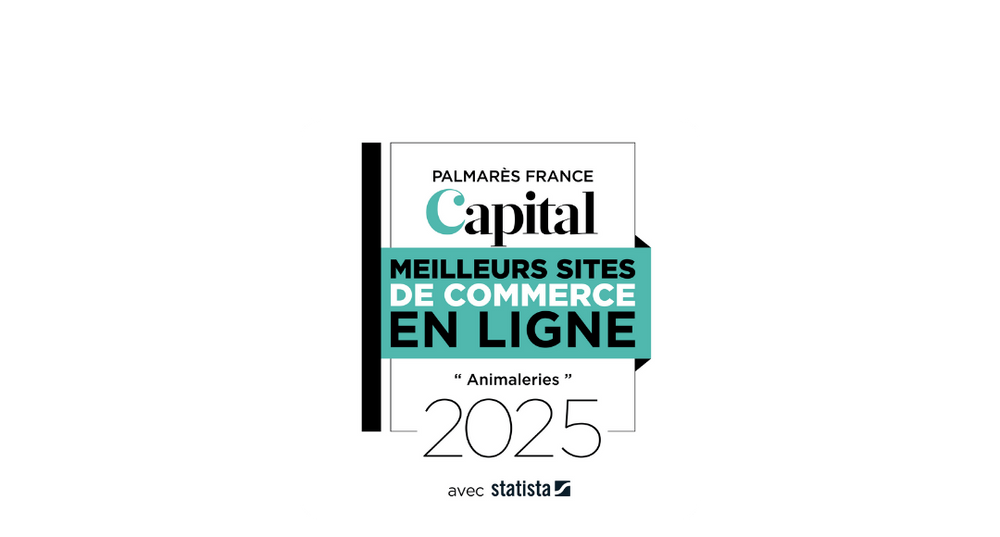 Logo Capital de la nomination de Ziggy parmi les meilleurs site de commerce en ligne 2025
