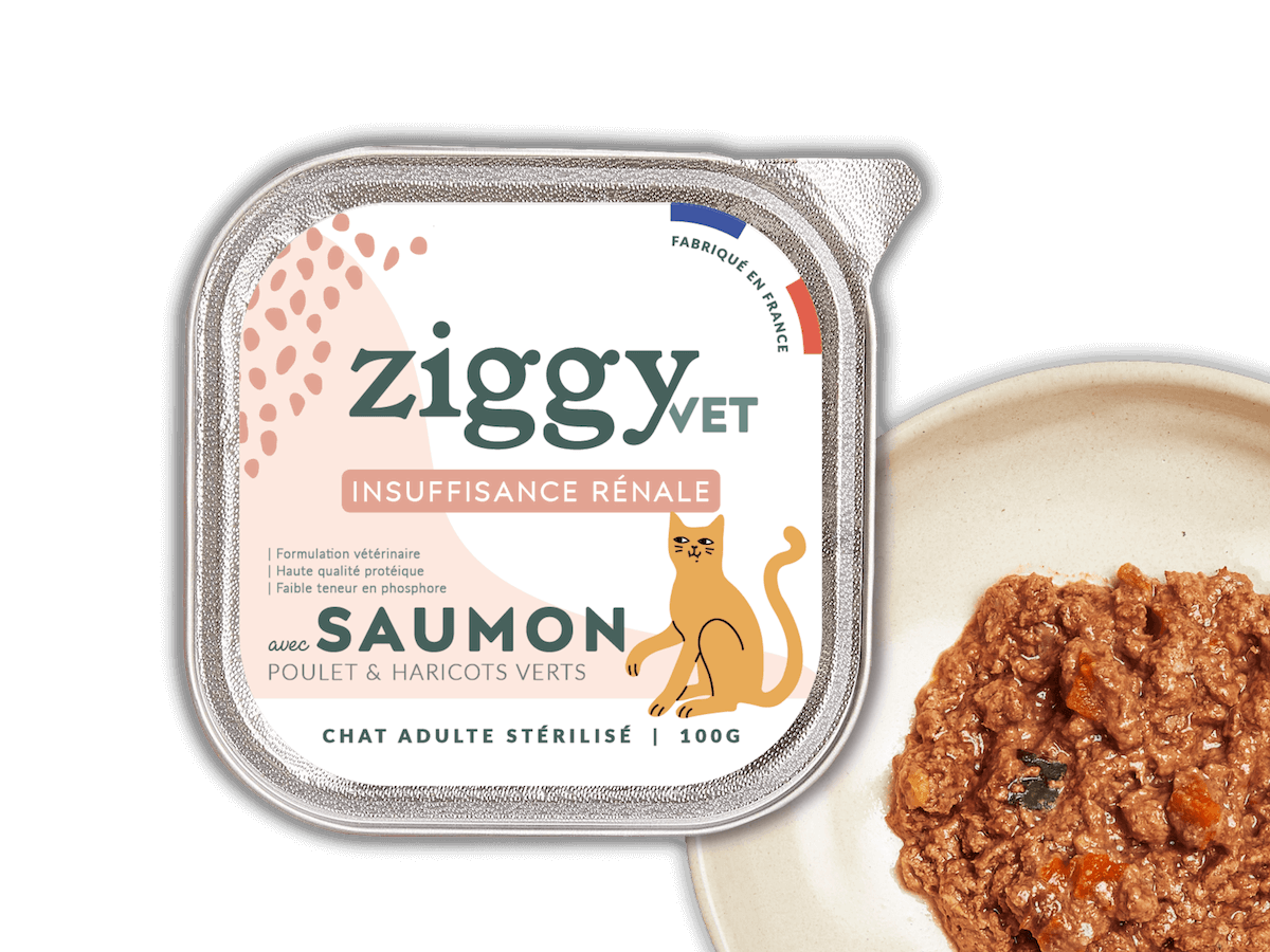 Texture de la pâtée pour chat en insuffisance rénale Chronique (IRC) au saumon Ziggy