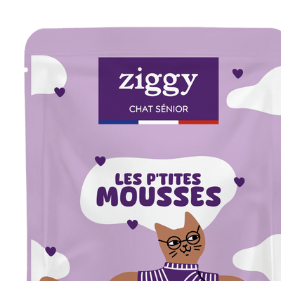 Mousses pour chat senior