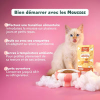Conseils d’utilisation de la mousse Ziggy chaton stérilisé : transition, avec ou sans croquettes, 48 h au frais