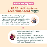 Avis des experts sur les mousses Ziggy pour chaton stérilisé : plus de 300 vétérinaires recommandent Ziggy