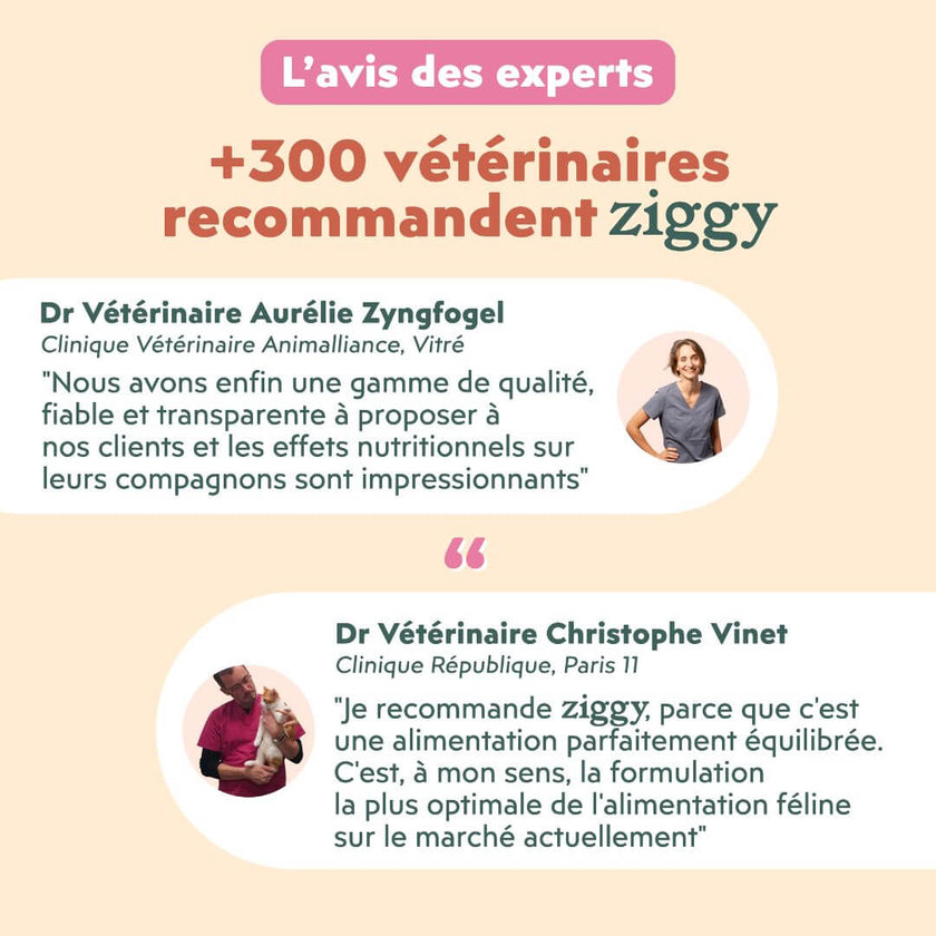 Avis des experts sur les mousses Ziggy pour chaton stérilisé : plus de 300 vétérinaires recommandent Ziggy