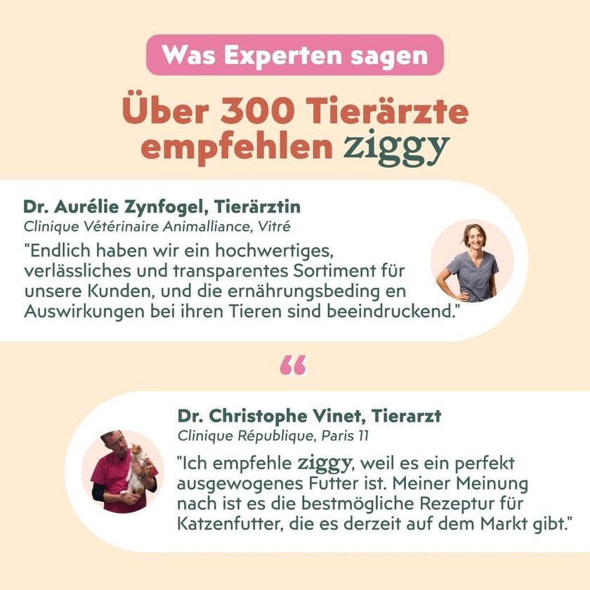 Expertenmeinung zu den Ziggy Mousses für sterilisierte Kätzchen: über 300 Tierärzte empfehlen Ziggy