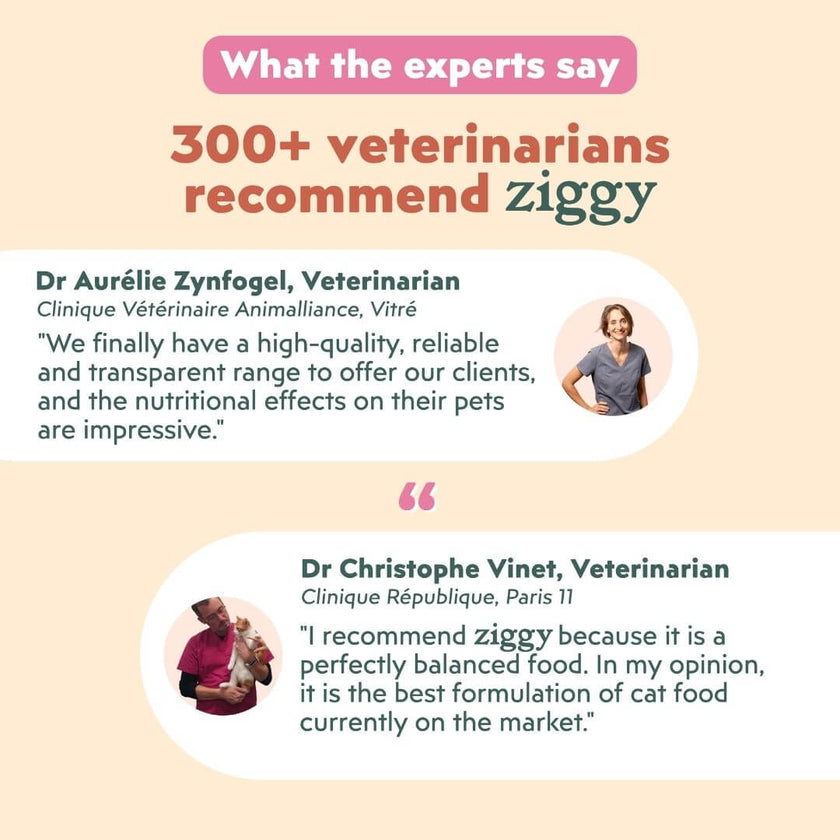 Expert opinions on Ziggy mousses for sterilised kittens: 300+ veterinarians recommend Ziggy