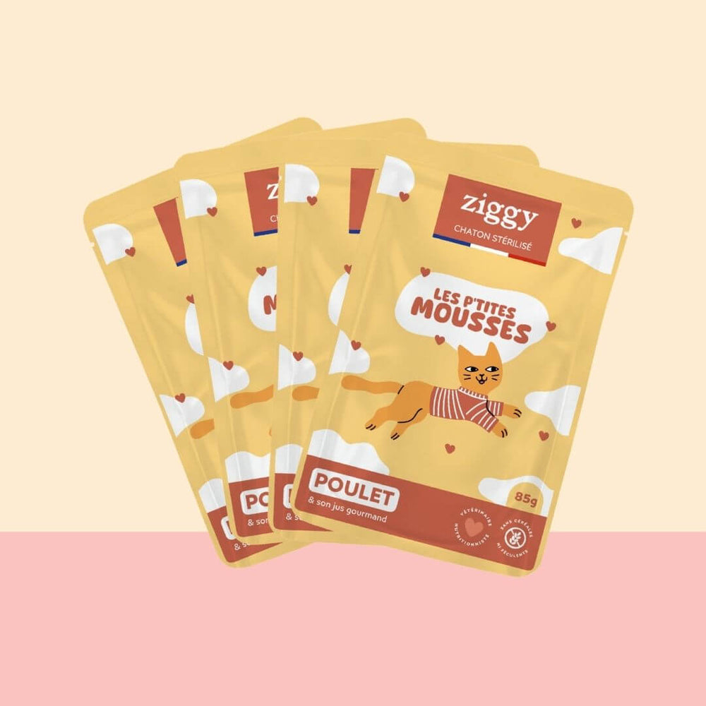 Sachet de mousse Ziggy pour chaton stérilisé sans céréales au poulet, 85 g, sur fond pêche