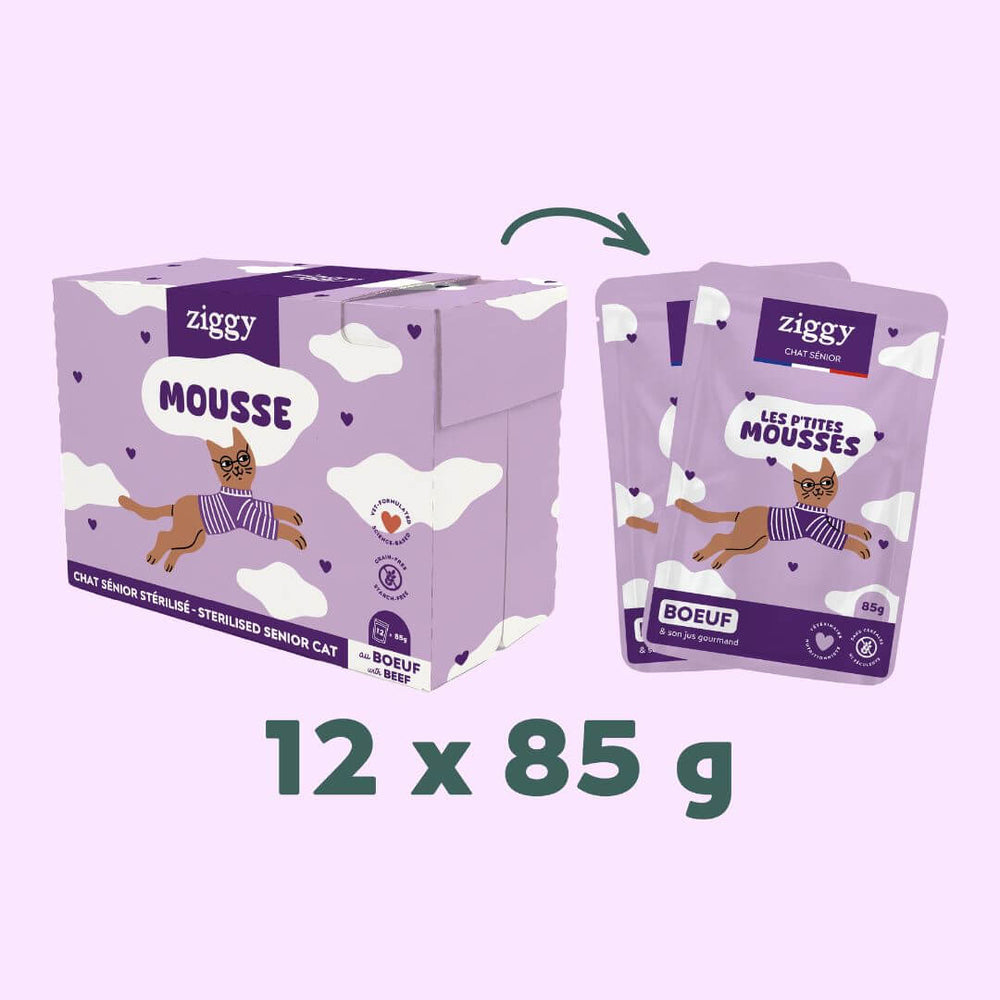 Sachet de mousse Ziggy pour chat senior sans céréales au bœuf, 85 g, sur fond violet