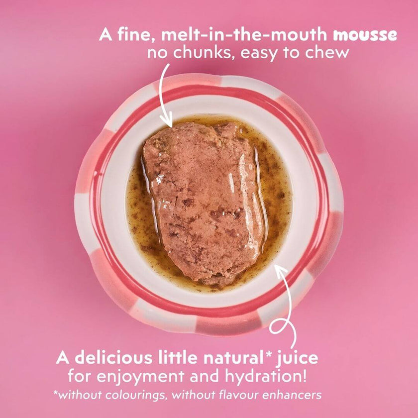 Fine, melt-in-the-mouth texture of Ziggy mousse for senior cats with beef, seen from above, with its gravy