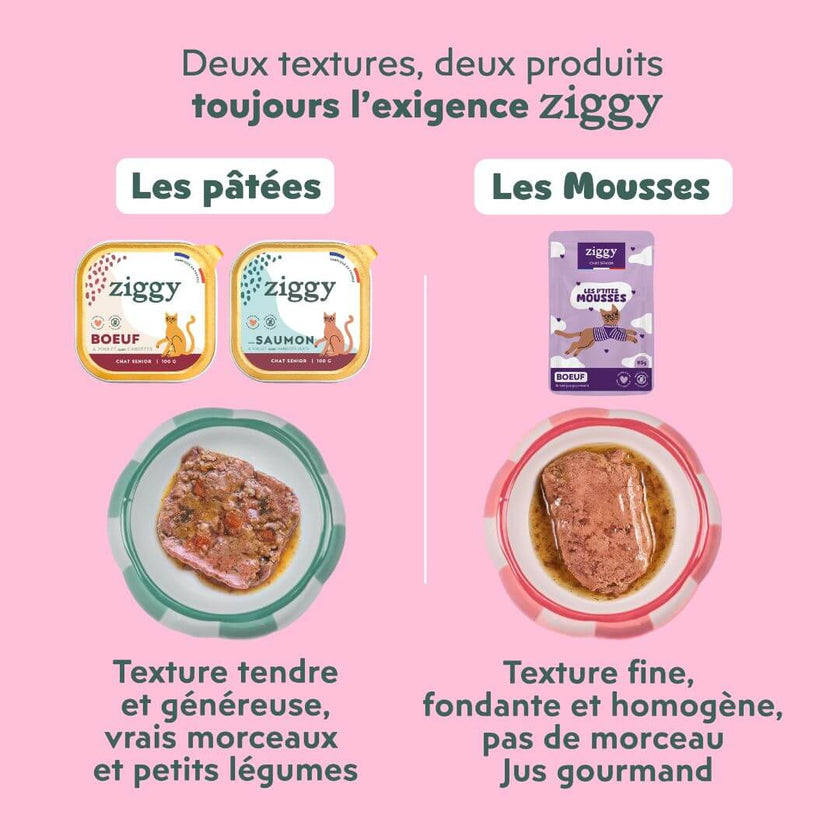 Deux textures Ziggy : la pâtée avec de vrais morceaux et la mousse fine et fondante avec son petit jus