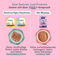 Zwei Texturen von Ziggy für Senior-Katzen: Nassfutter mit echten Stücken und feine, zartschmelzende Mousse mit Soße