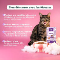 Conseils d’utilisation de la mousse Ziggy chat senior : transition, avec ou sans croquettes, 48 h au frais