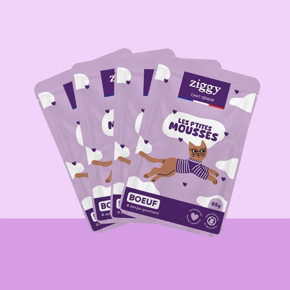 Sachet de mousse Ziggy pour chat senior sans céréales au bœuf, 85 g, sur fond violet