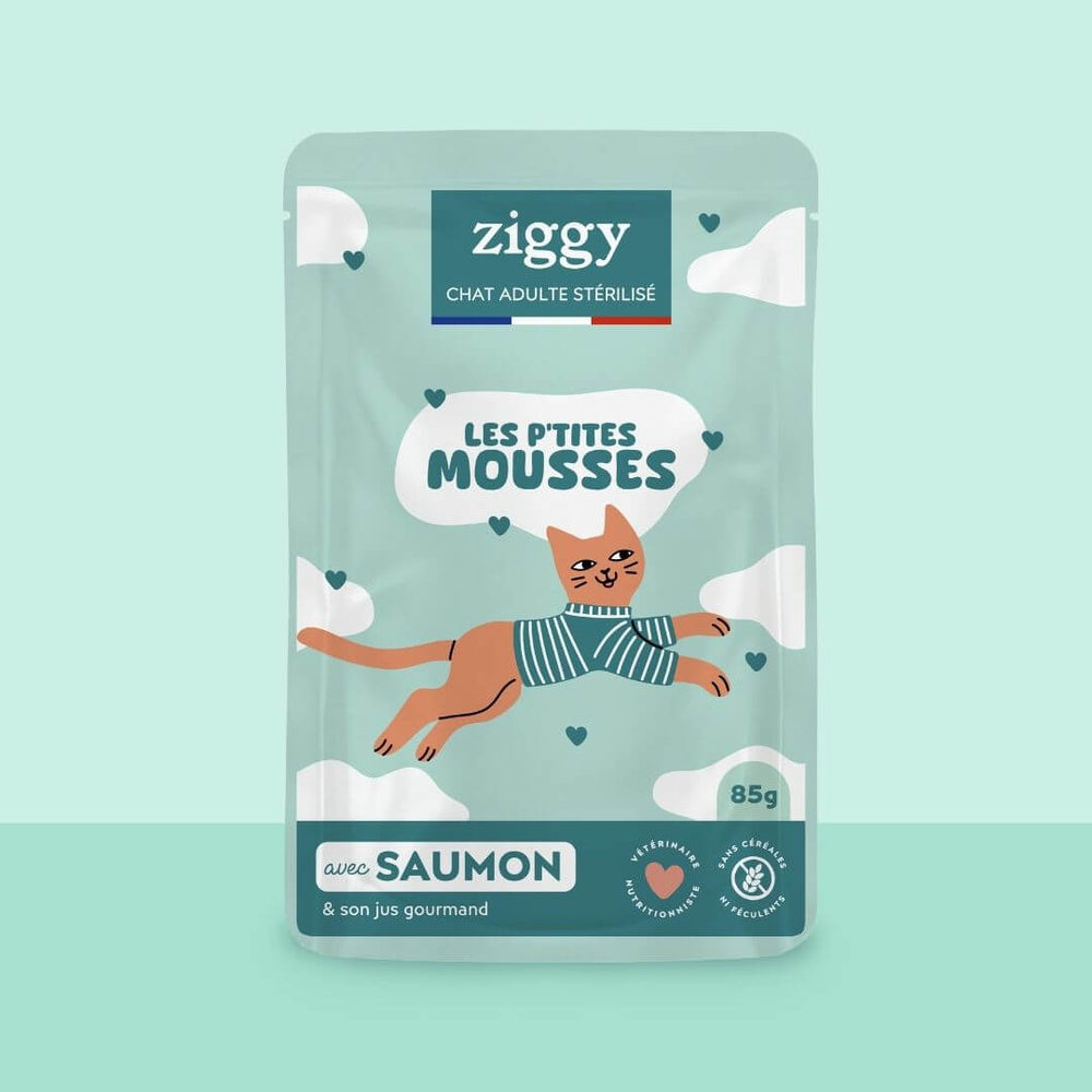 Sachet de mousse Ziggy pour chat stérilisé sans céréales au saumon, 85 g, sur fond turquoise