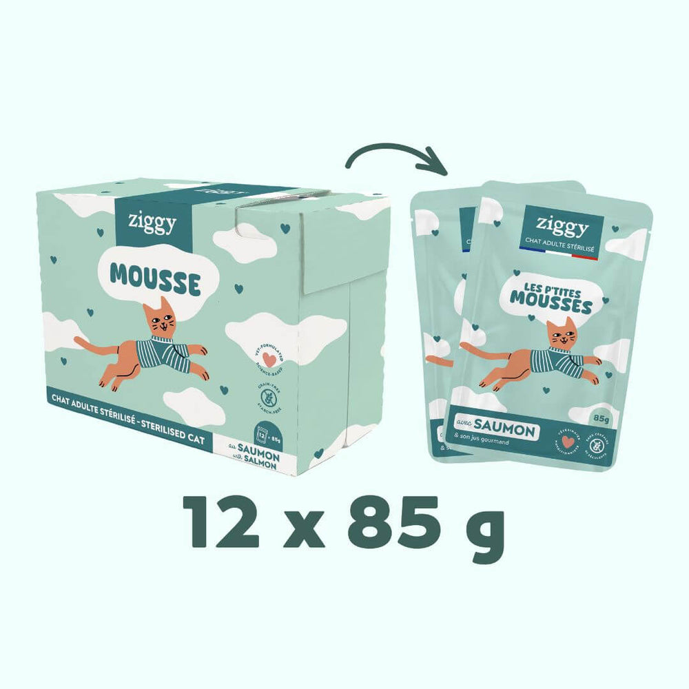Sachet de mousse Ziggy pour chat stérilisé sans céréales au saumon, 85 g, sur fond turquoise
