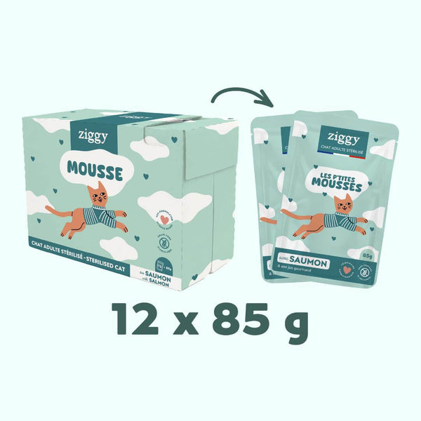 Sachet de mousse Ziggy pour chat stérilisé sans céréales au saumon, 85 g, sur fond turquoise