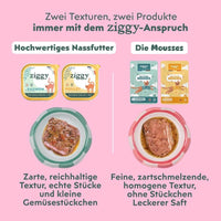 Zwei Texturen von Ziggy mit Lachs: Nassfutter mit echten Stücken und feine, zartschmelzende Mousse mit Soße
