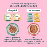 Two Ziggy textures with salmon: wet food with real pieces and fine, melt-in-the-mouth mousse with gravy