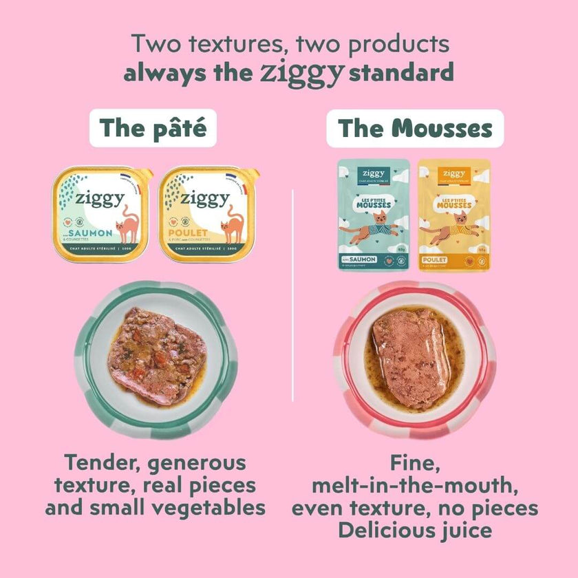 Two Ziggy textures with salmon: wet food with real pieces and fine, melt-in-the-mouth mousse with gravy