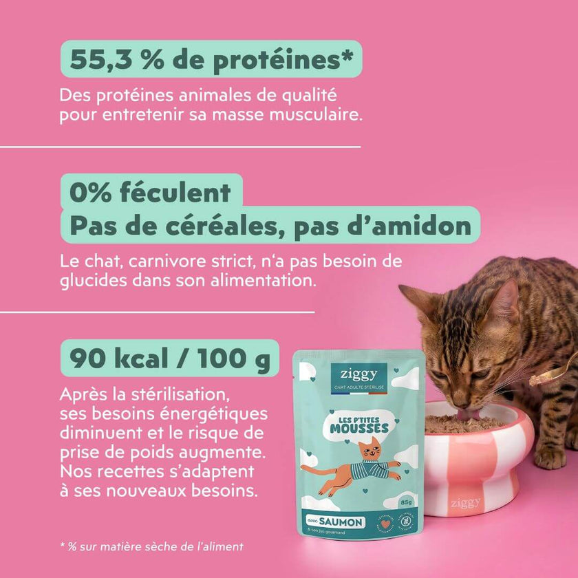 Mousse Ziggy chat stérilisé au saumon : 55,3 % de protéines (matière sèche), 90 kcal pour 100 g et 0 féculent