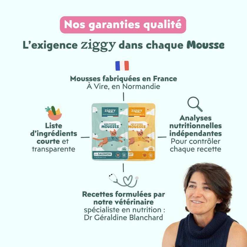 Garanties de la mousse Ziggy au saumon : fabriquée en France, formulée par une vétérinaire, analyses indépendantes