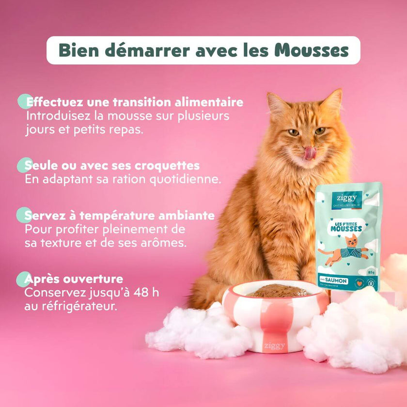 Conseils d’utilisation de la mousse Ziggy chat stérilisé au saumon : transition, avec ou sans croquettes, 48 h au frais