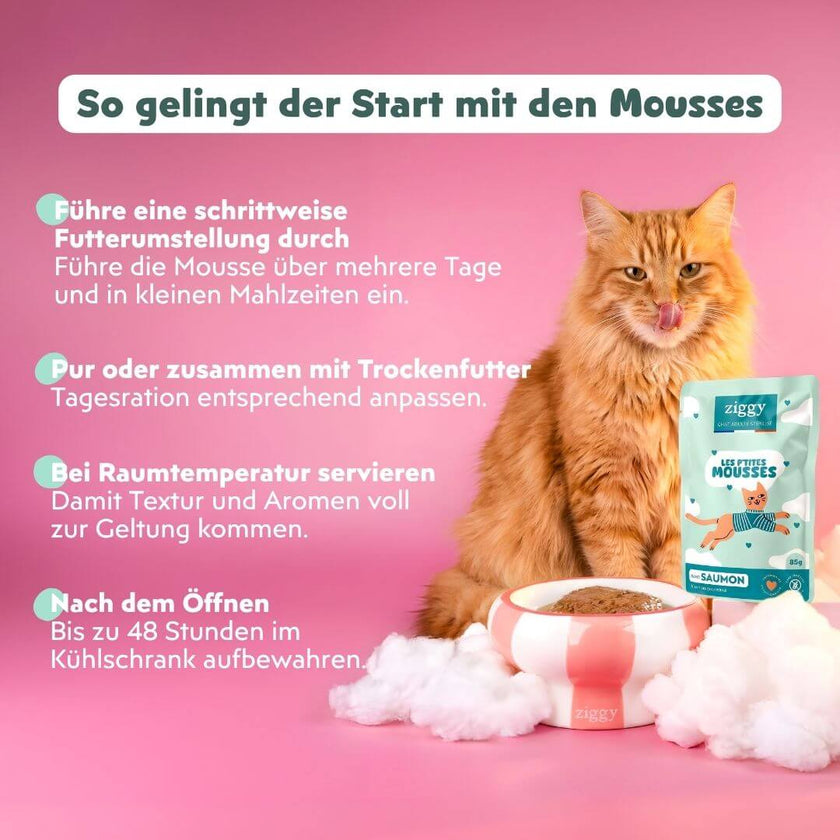 Anwendungstipps der Ziggy Mousse für sterilisierte Katzen mit Lachs: Futterumstellung, mit Trockenfutter, 48 Std. haltbar