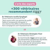 Avis des experts sur les mousses Ziggy pour chat stérilisé au saumon : plus de 300 vétérinaires recommandent Ziggy
