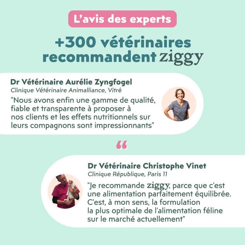 Avis des experts sur les mousses Ziggy pour chat stérilisé au saumon : plus de 300 vétérinaires recommandent Ziggy