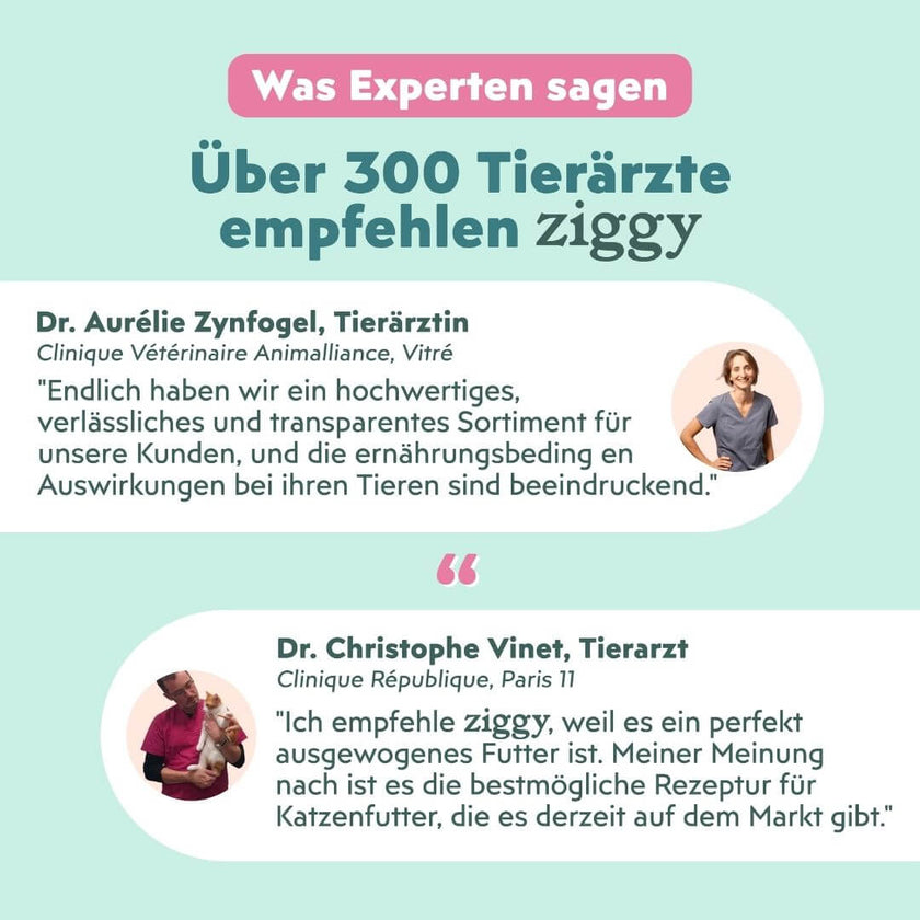 Expertenmeinung zu den Ziggy Mousses für sterilisierte Katzen mit Lachs: über 300 Tierärzte empfehlen Ziggy