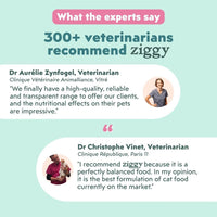 Expert opinions on Ziggy mousses for sterilised cats with salmon: 300+ veterinarians recommend Ziggy