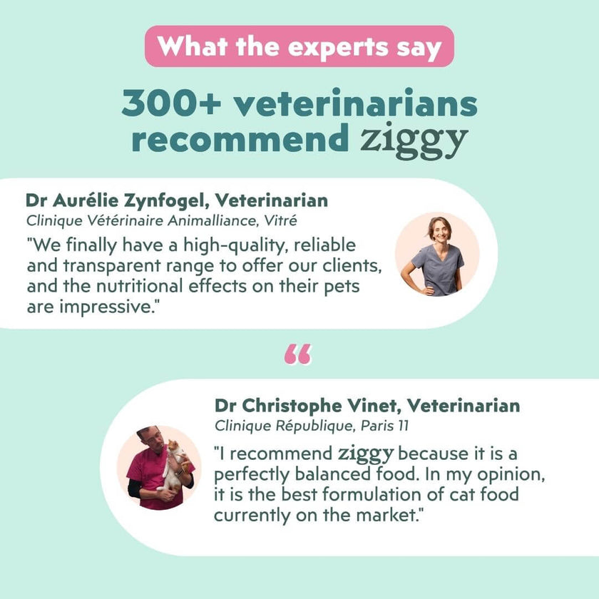 Expert opinions on Ziggy mousses for sterilised cats with salmon: 300+ veterinarians recommend Ziggy